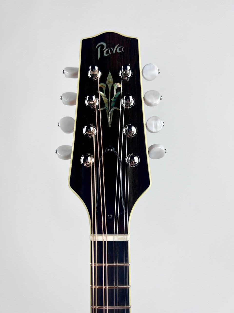 Pava Mandolin Pro A5 Wide Nut