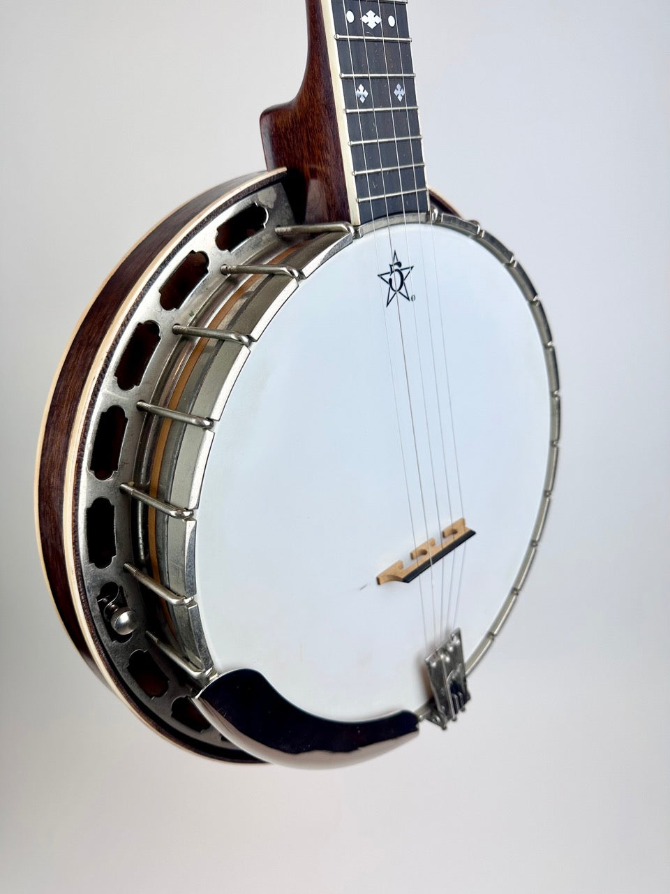 1983 Stewart McDonald "Diamond Eagle" Kit Banjo