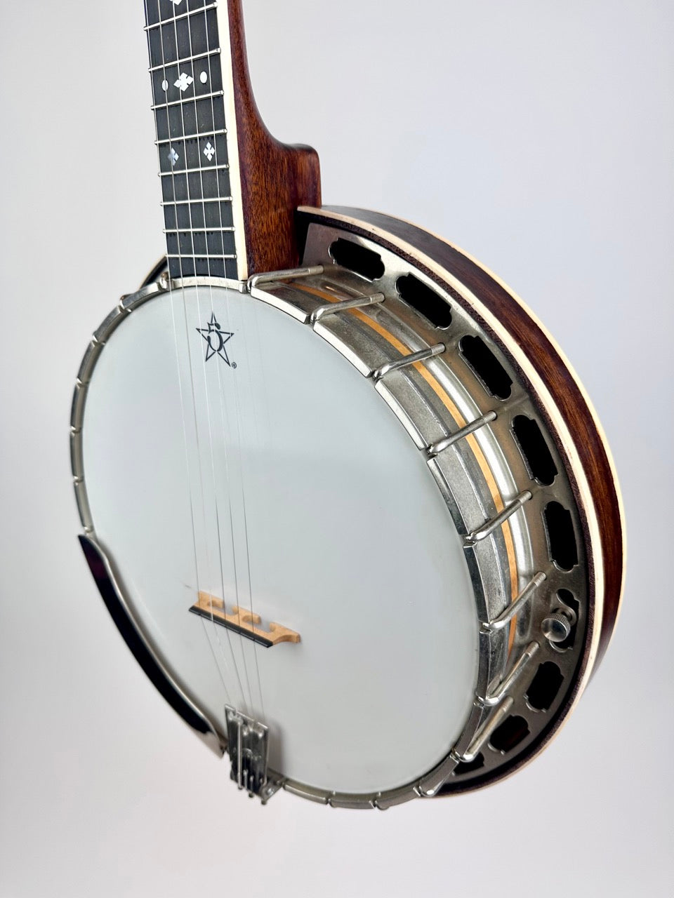 1983 Stewart McDonald "Diamond Eagle" Kit Banjo