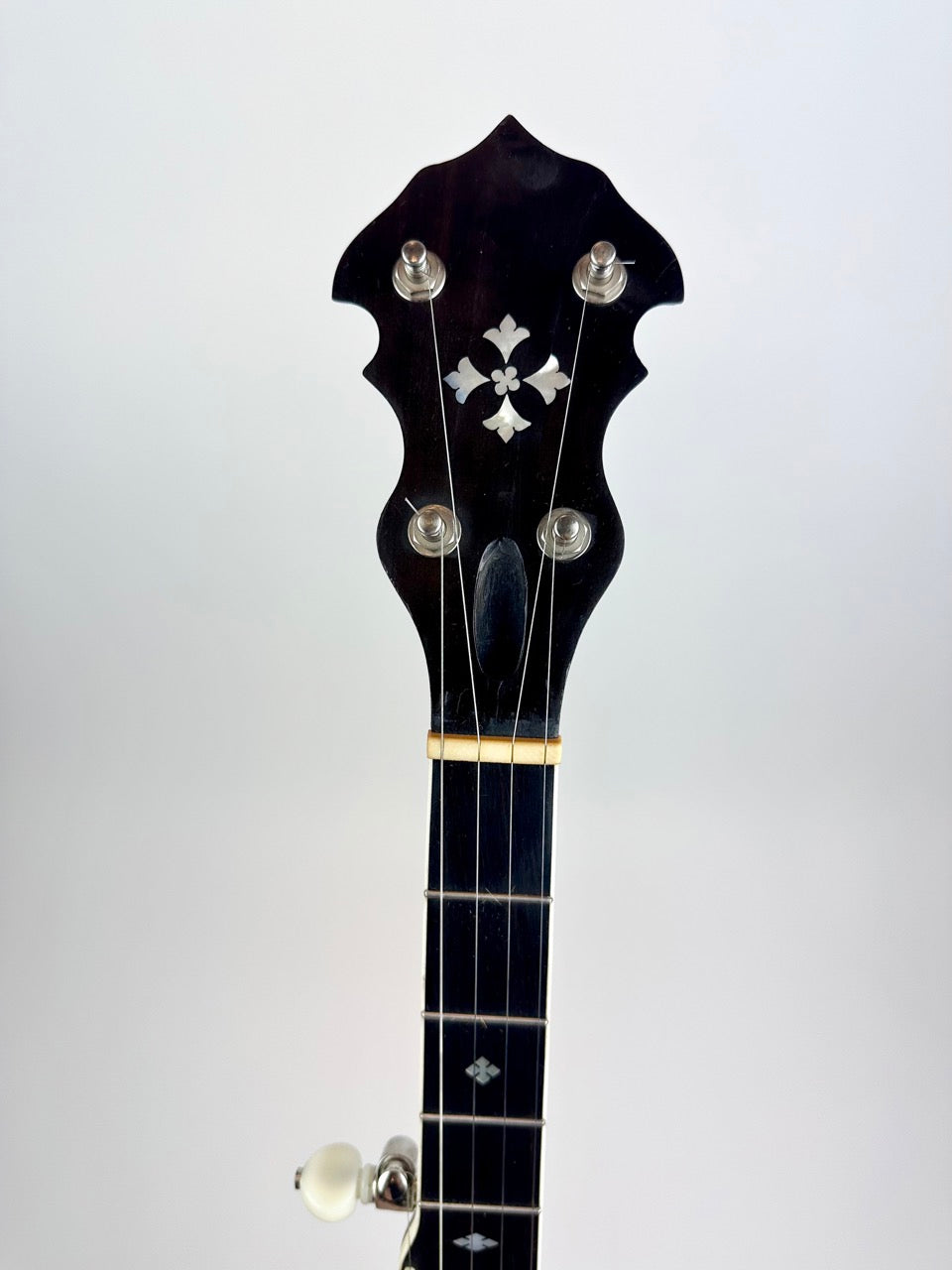1983 Stewart McDonald "Diamond Eagle" Kit Banjo