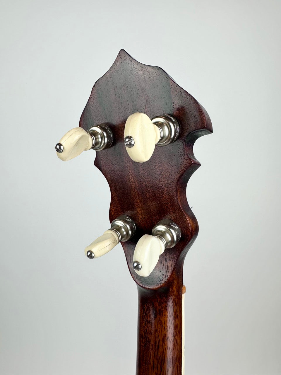 1983 Stewart McDonald "Diamond Eagle" Kit Banjo