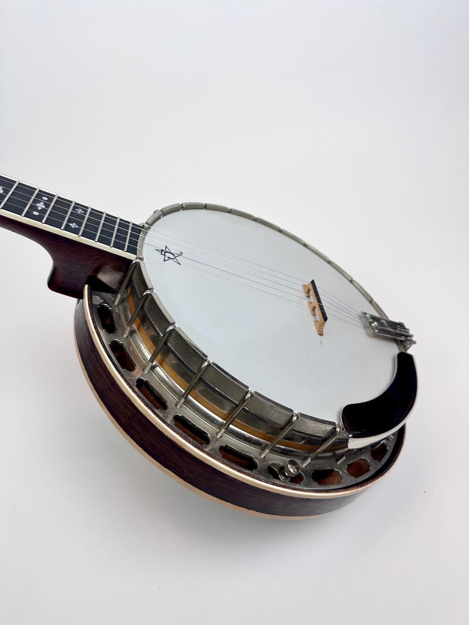 1983 Stewart McDonald "Diamond Eagle" Kit Banjo