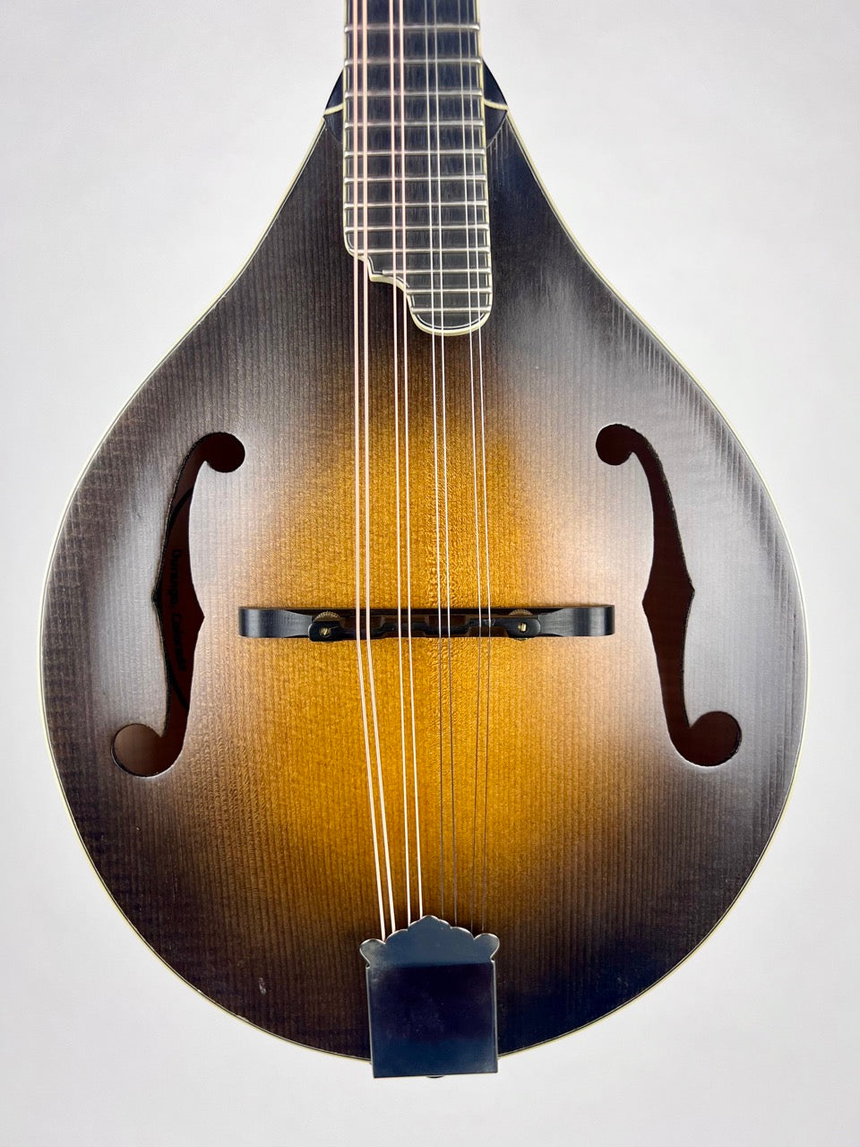 2007 Elkhorn A Style Mandolin A5