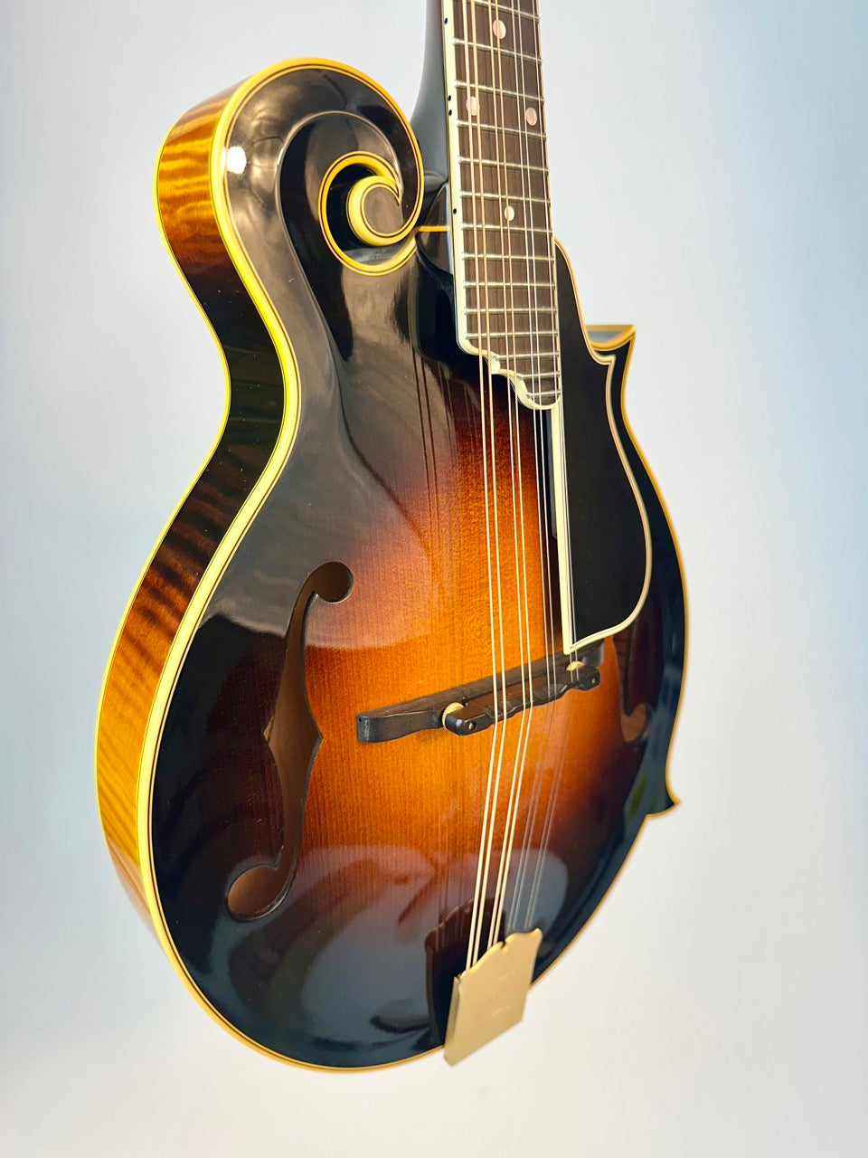 2014 Ellis F5