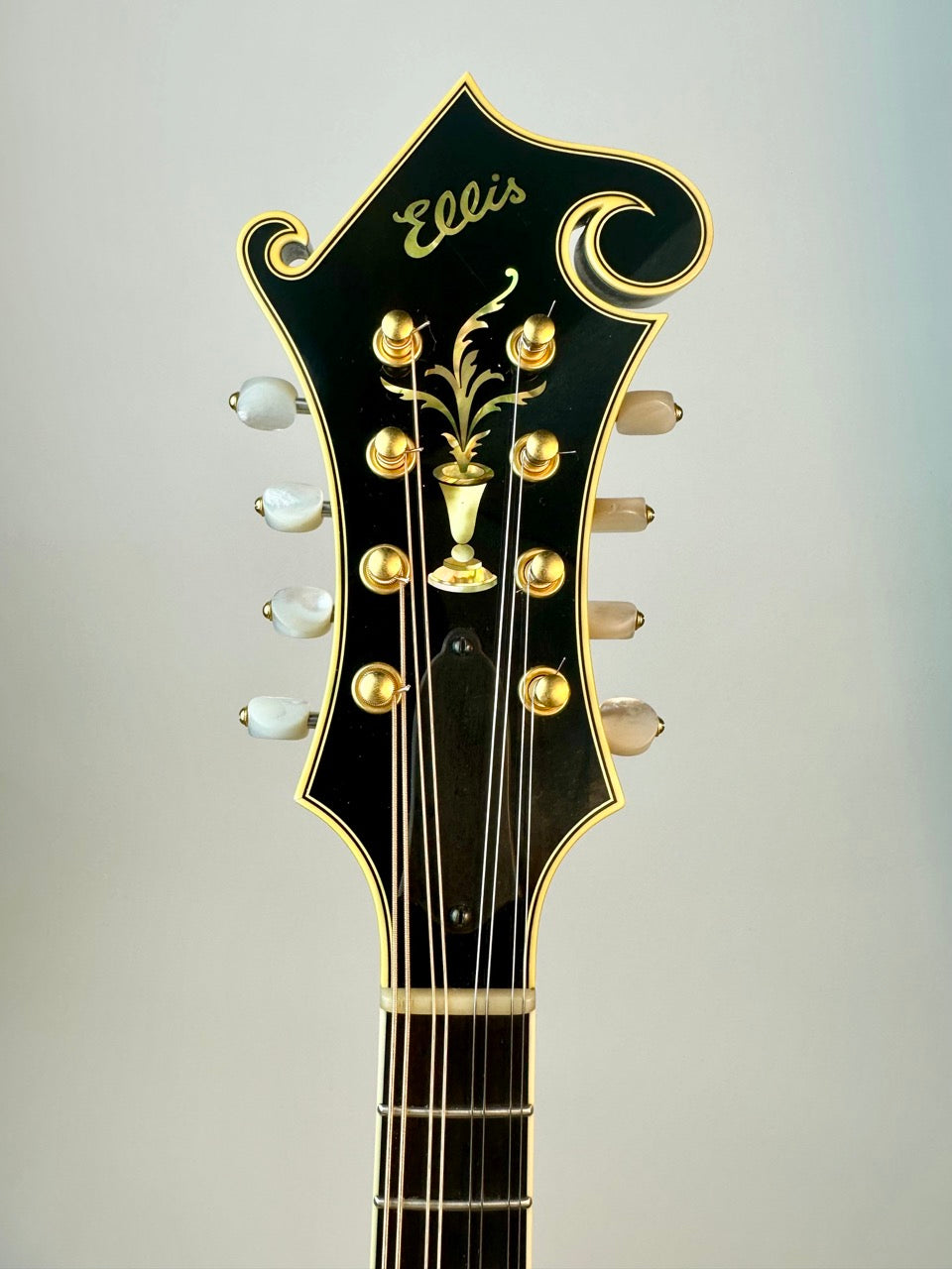 2014 Ellis F5