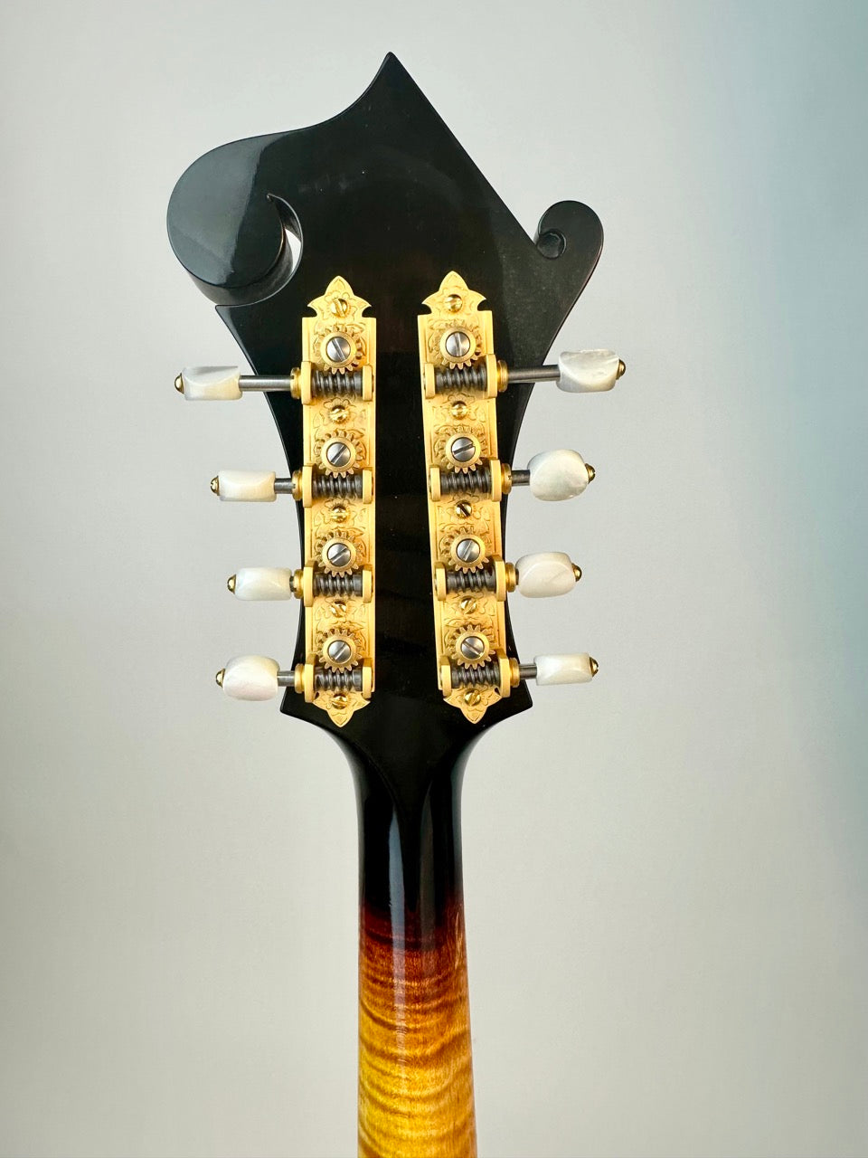 2014 Ellis F5