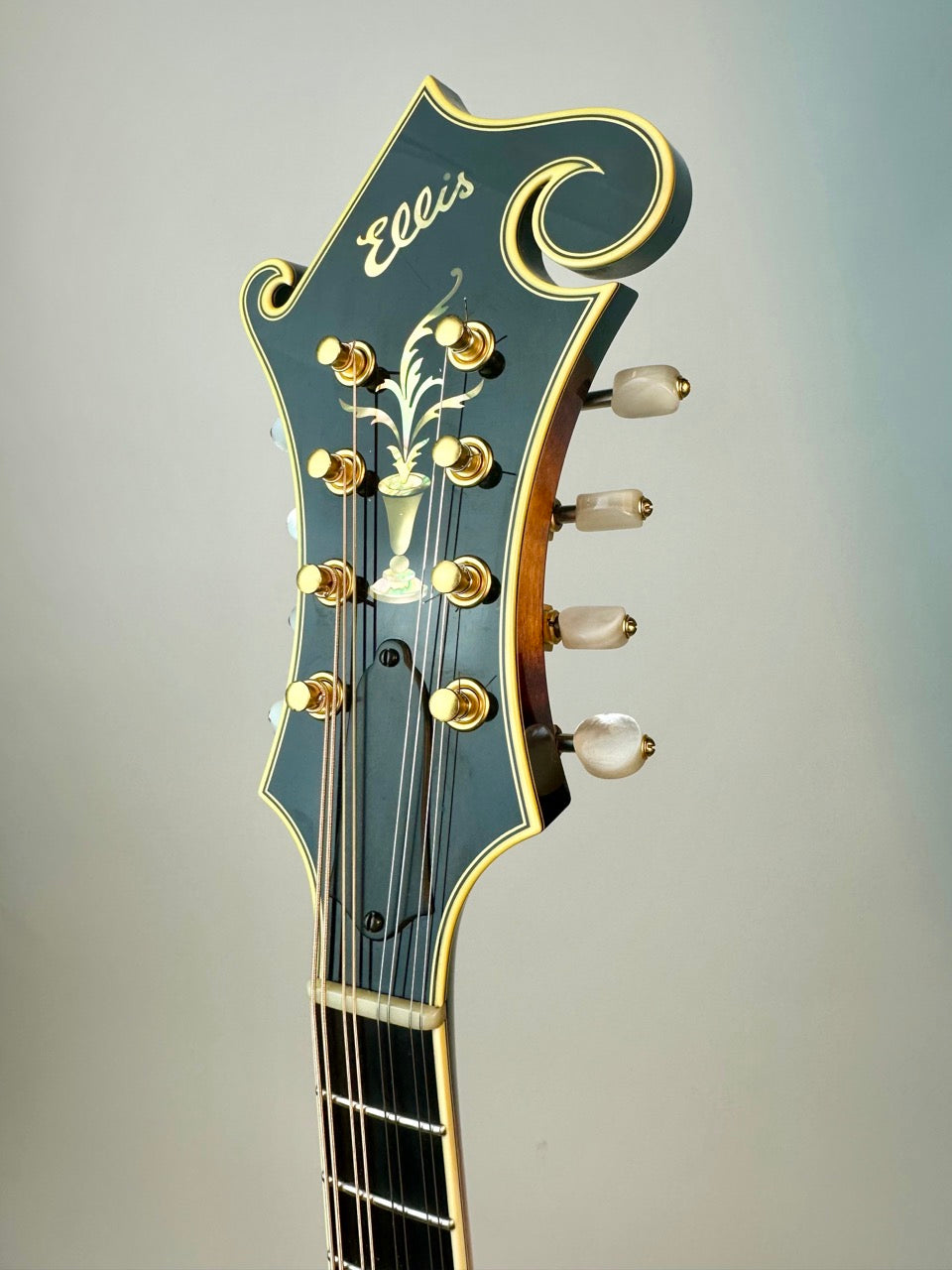 2014 Ellis F5
