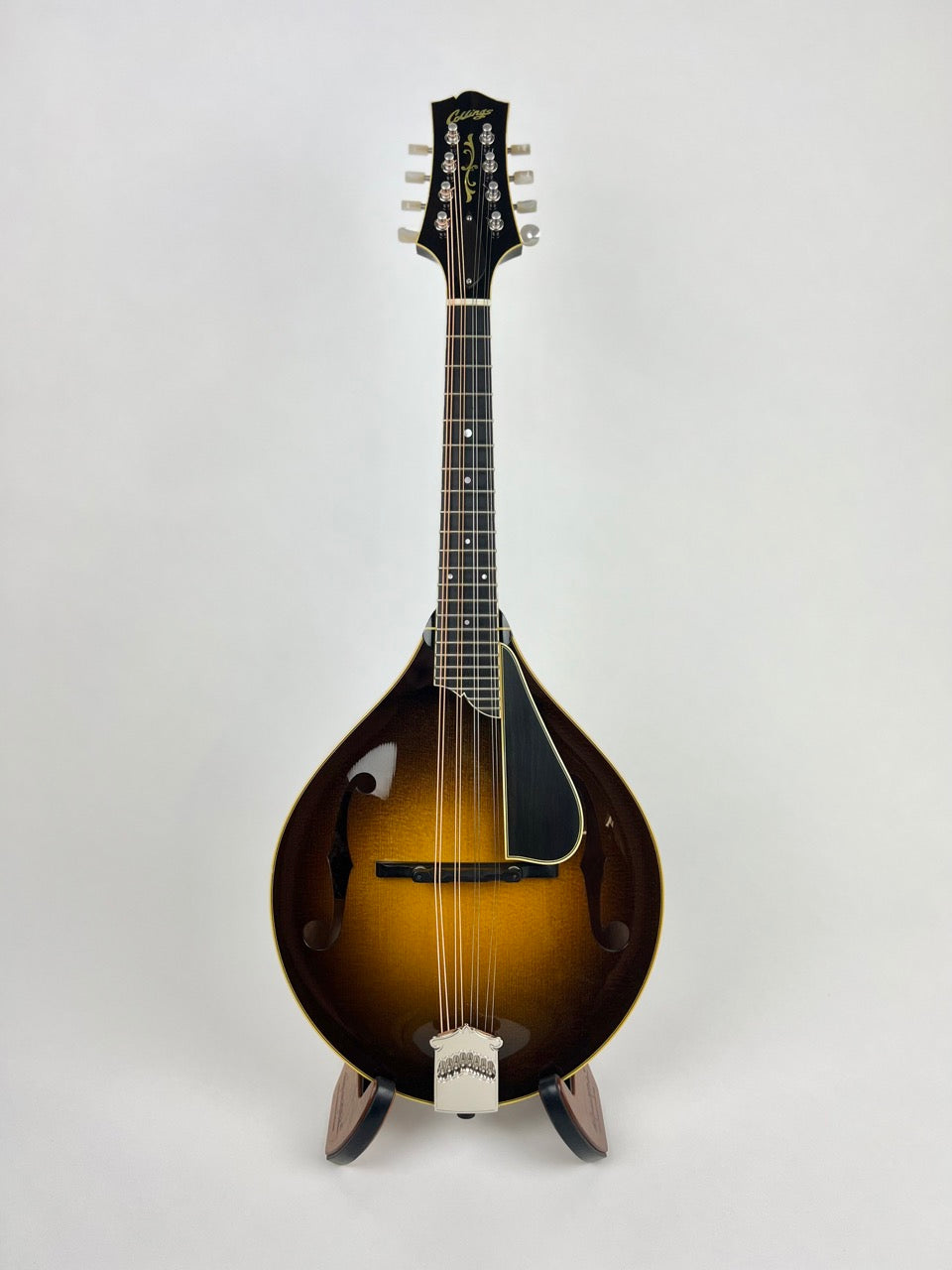 2018 Collings MT2V Varnish Mandolin