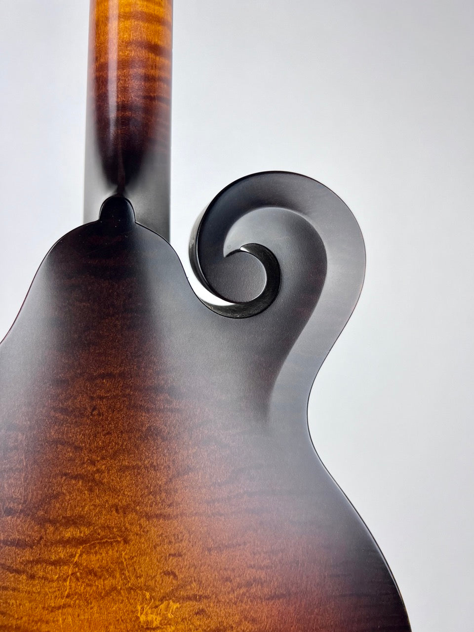 2019 Pava Satin F5 Mandolin