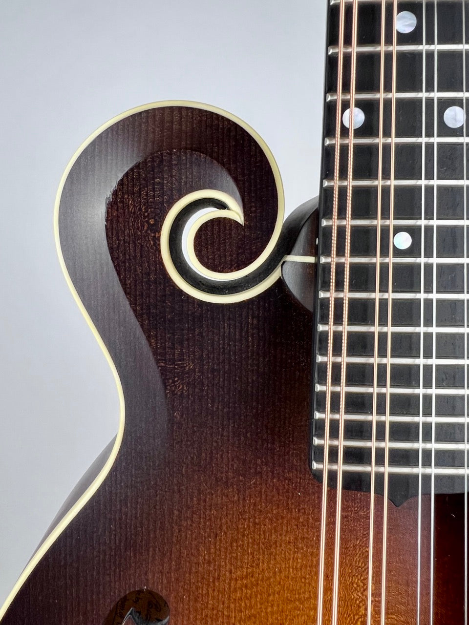 2019 Pava Satin F5 Mandolin