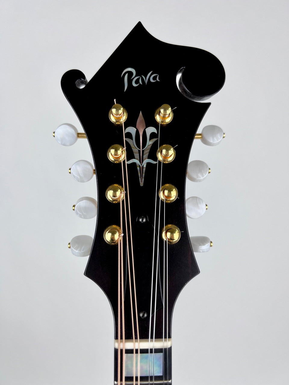 2022 Pava Satin F5 - Wide Nut/Torrified Mandolin