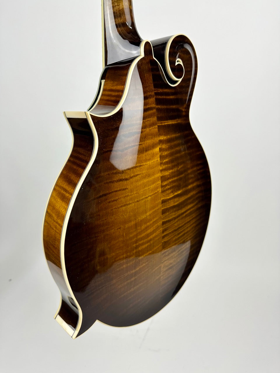 Northfield Big Mon - Adirondack/Sunburst