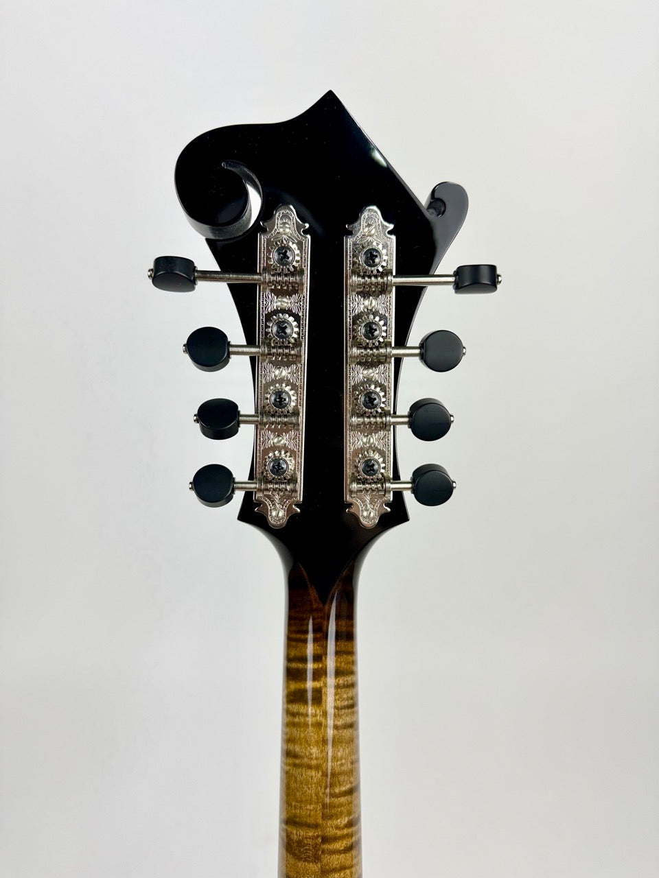 Northfield Big Mon - Adirondack/Sunburst