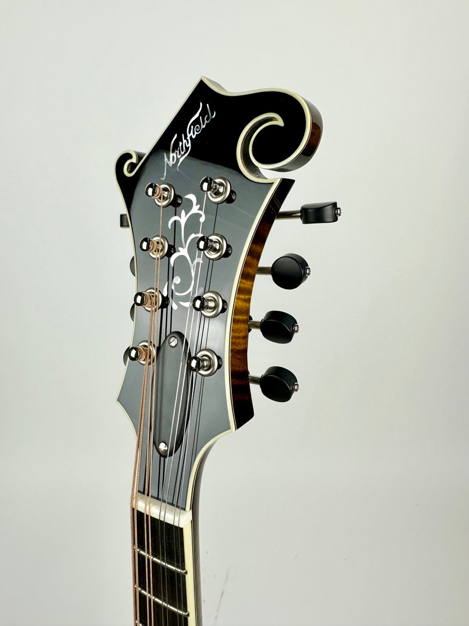 Northfield Big Mon - Adirondack/Sunburst