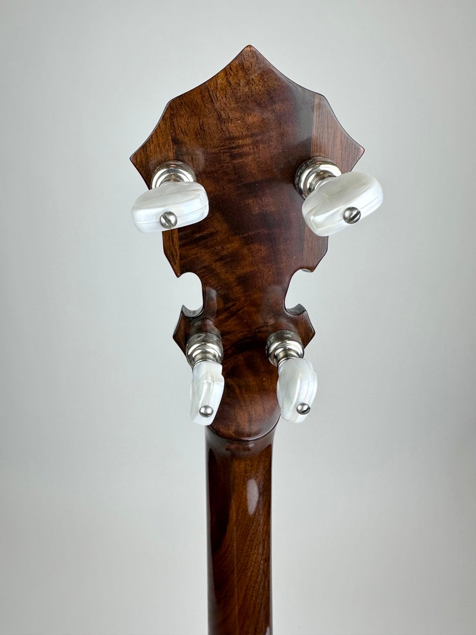 USED Allen Resonator Banjo