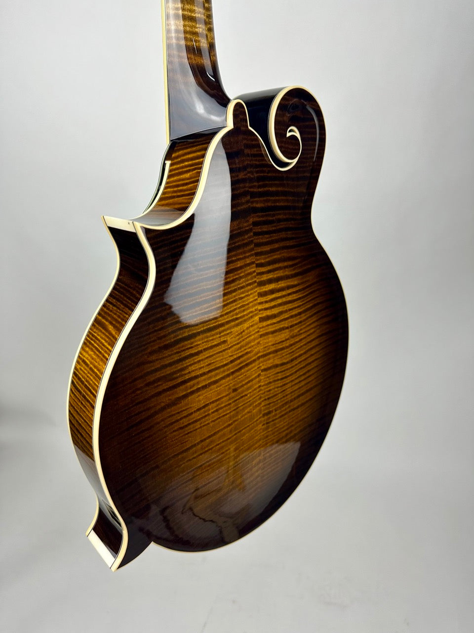 Northfield Big Mon - Engelmann/Sunburst