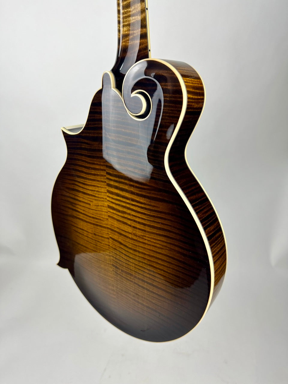 Northfield Big Mon - Engelmann/Sunburst