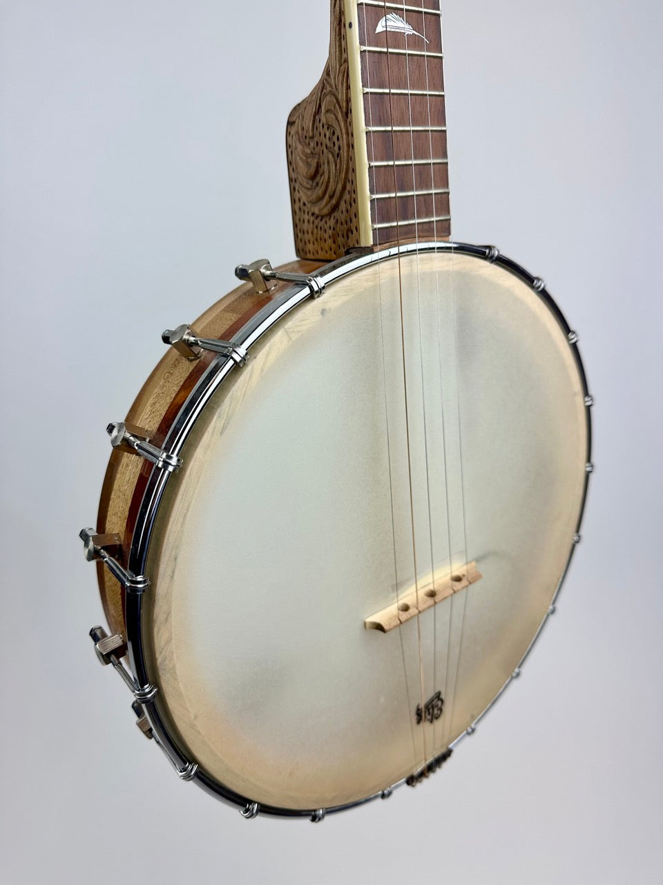 2013 Black Hills Banjo