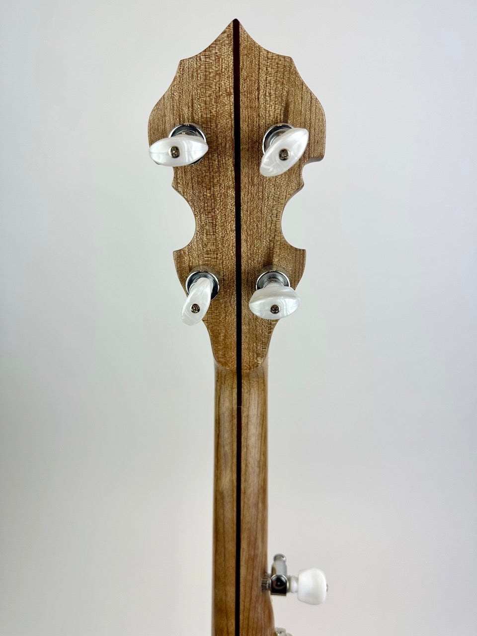 2013 Black Hills Banjo