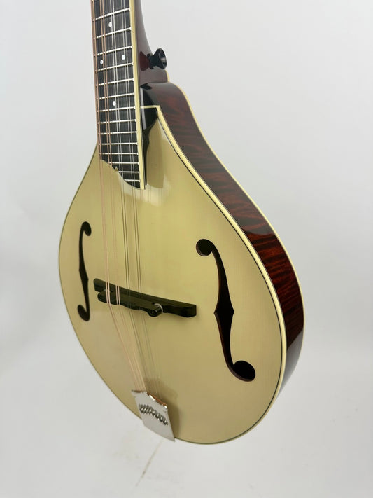 2016 Collings MT2 - Wide Nut