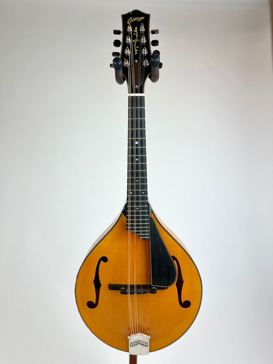 2025 Collings MT2V - Italian Spruce