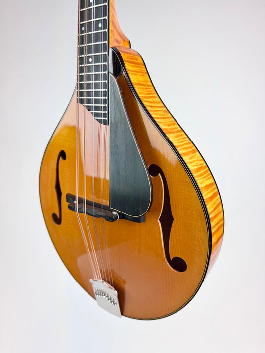 2025 Collings MT2V - Italian Spruce
