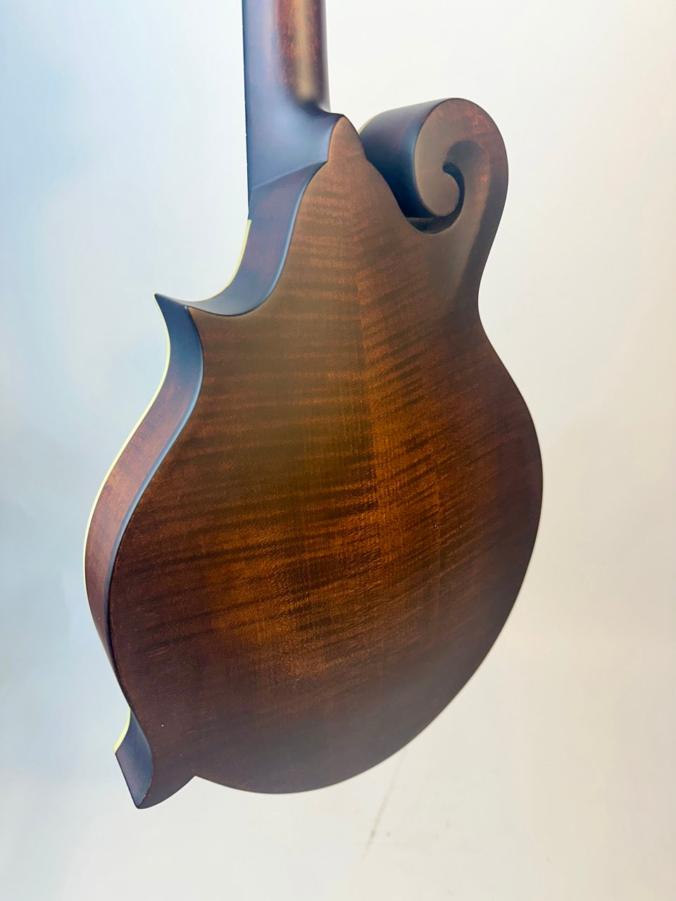 Eastman MD314