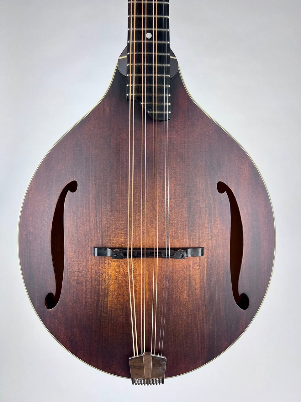 Eastman MDO305 Octave Mandolin, Spruce, Maple - NEW – Acoustic Music Works  LLC