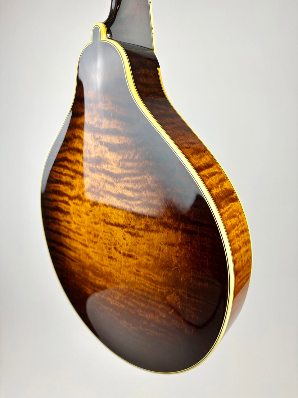 Ellis A5 Special - Deco Gold