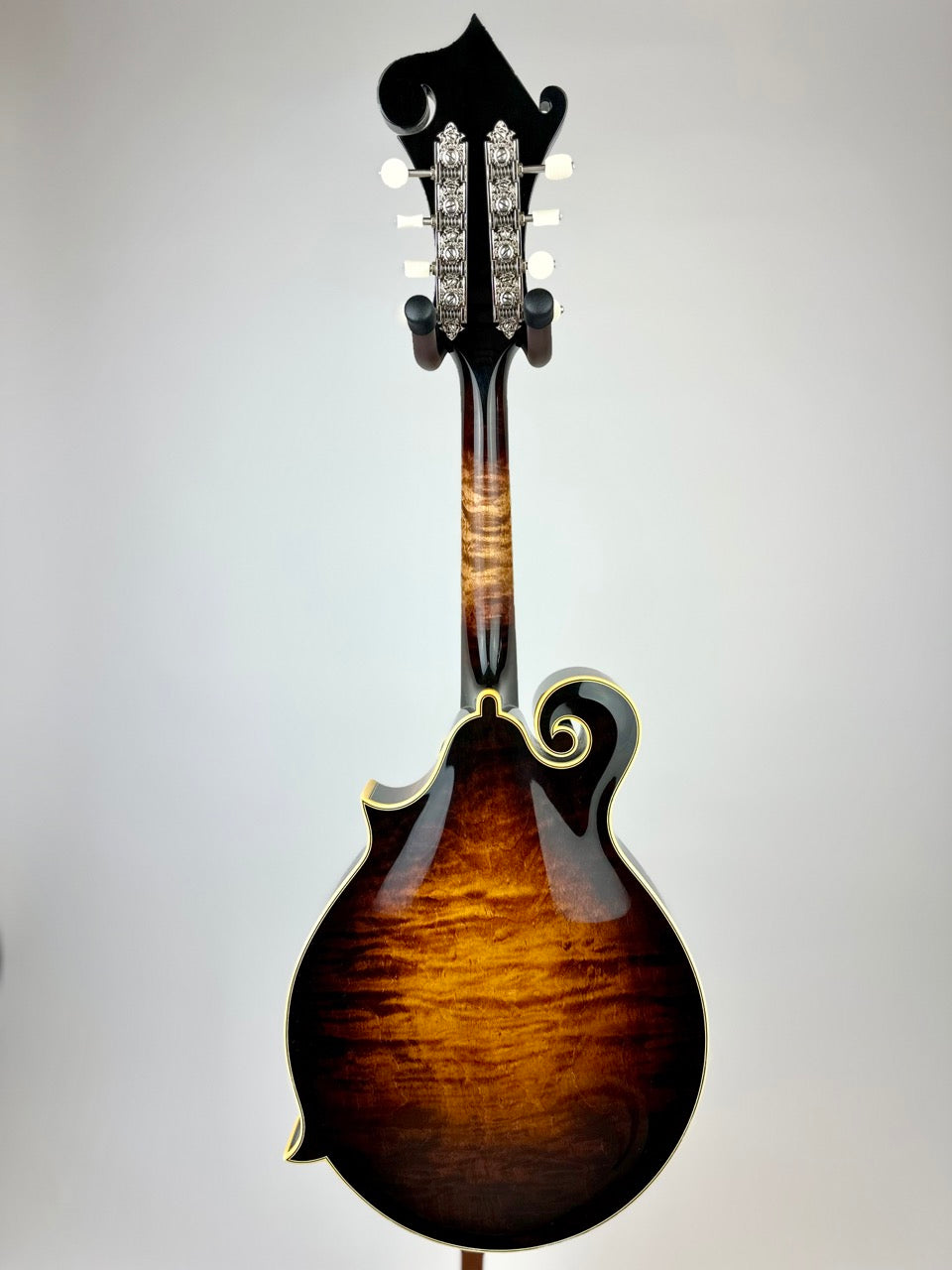 Ellis F5 Special