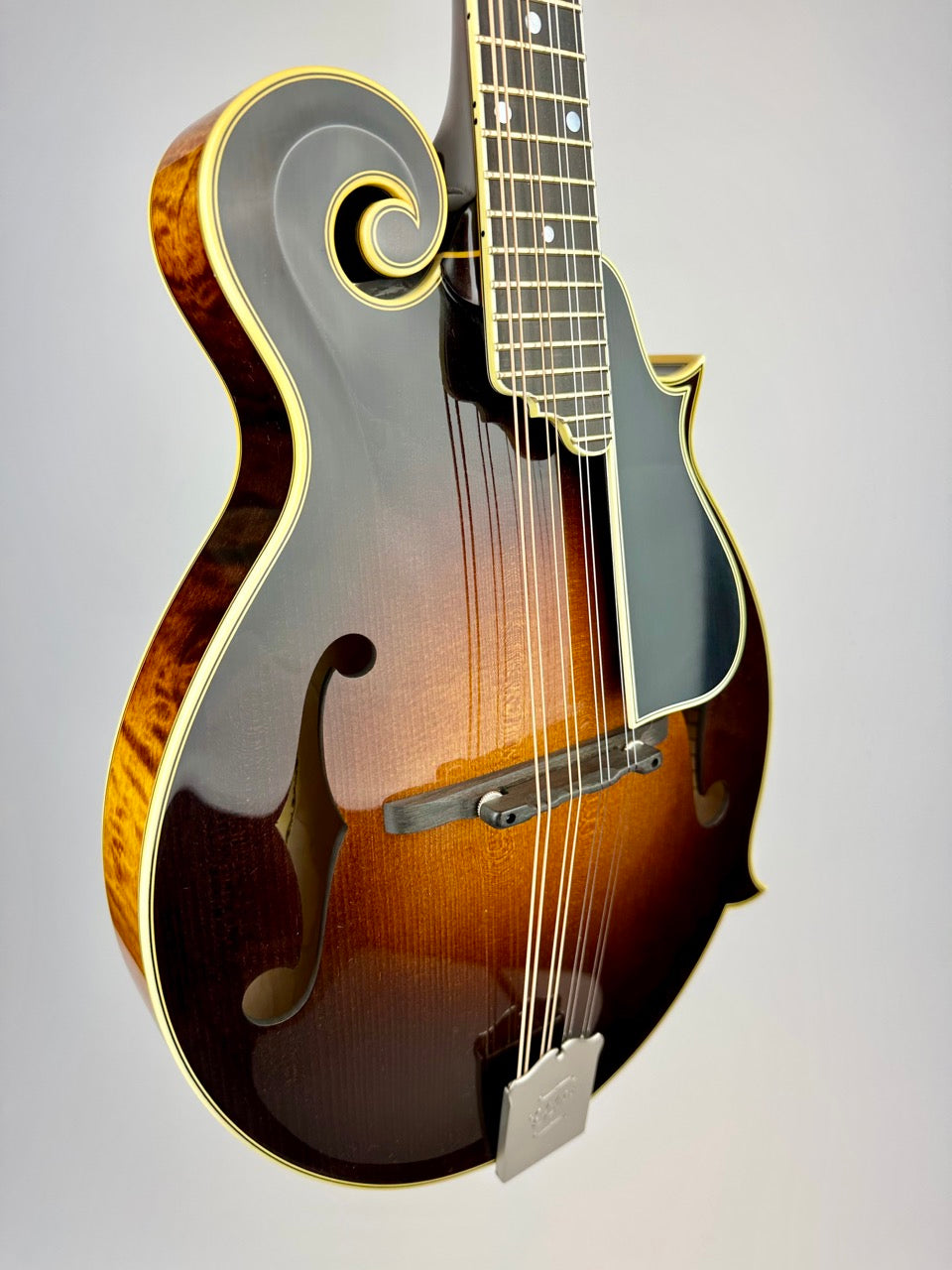 Ellis F5 Special