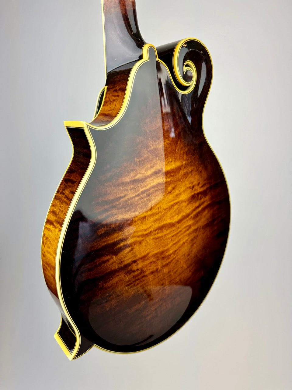 Ellis F5 Special