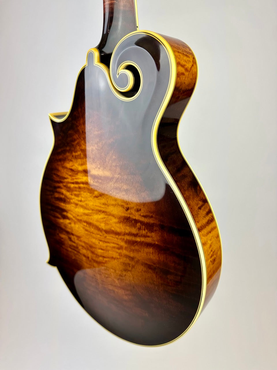 Ellis F5 Special