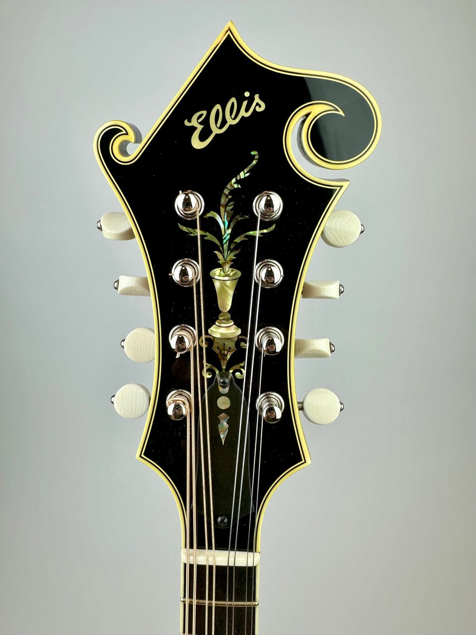 Ellis F5 Special