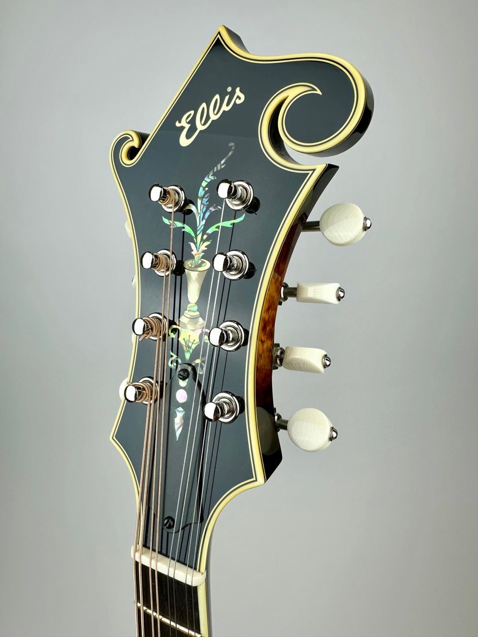 Ellis F5 Special