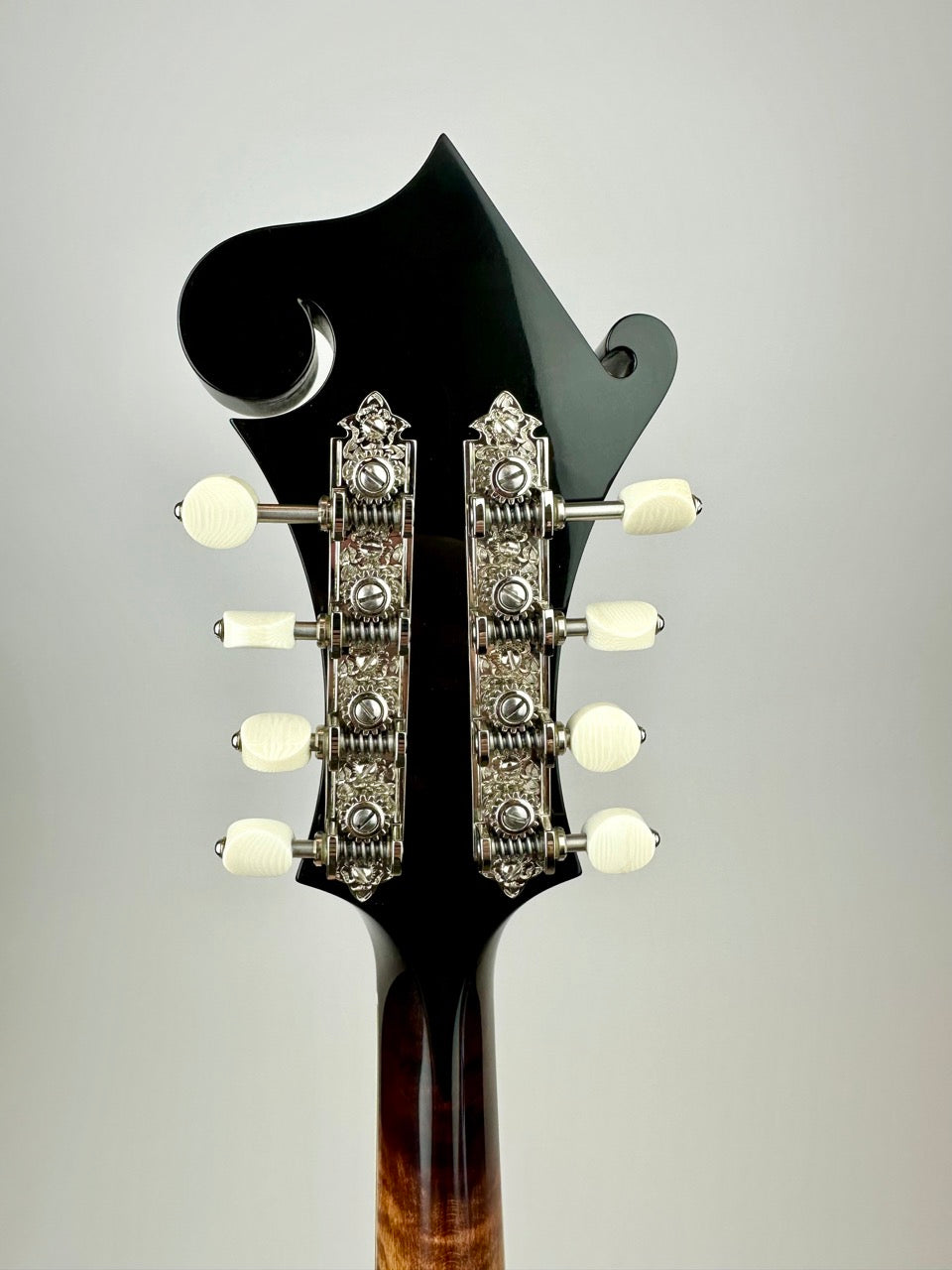 Ellis F5 Special