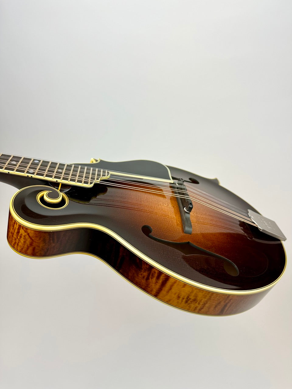 Ellis F5 Special