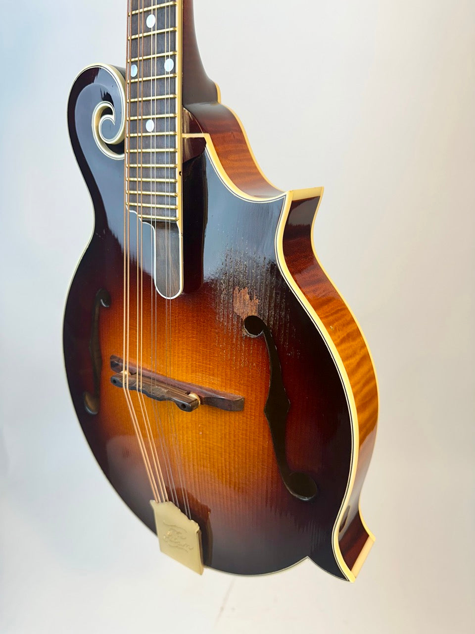 2015 Gibson F-5 Fern