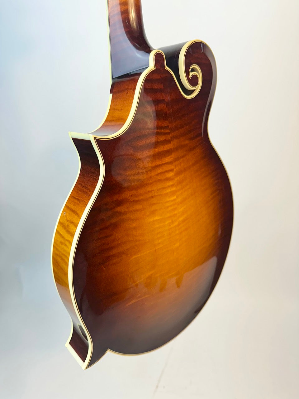 2015 Gibson F-5 Fern