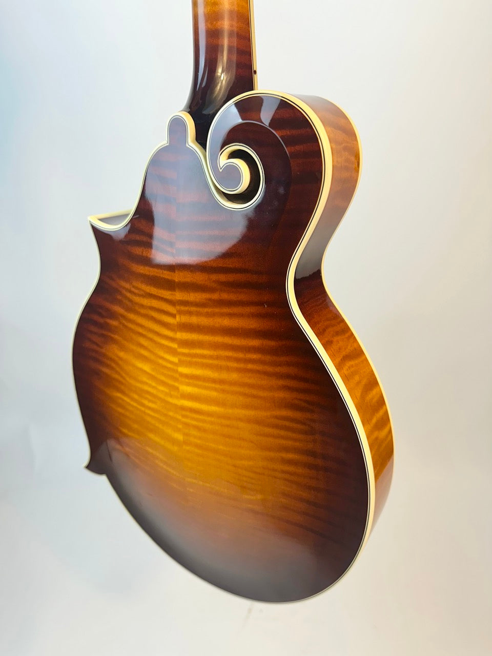 2015 Gibson F-5 Fern