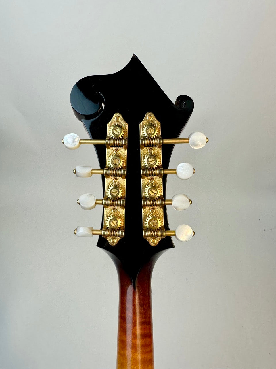 2015 Gibson F-5 Fern