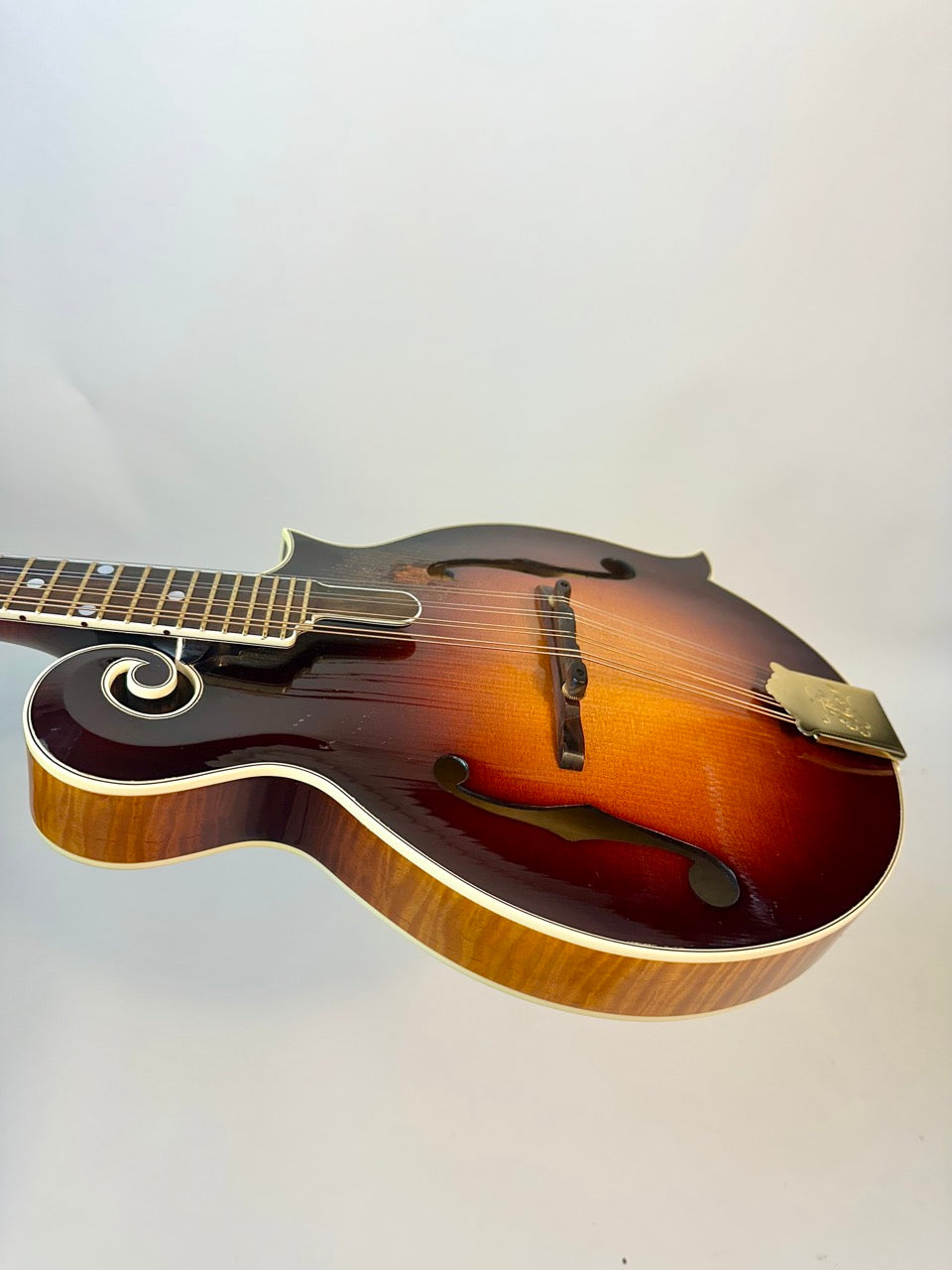 2015 Gibson F-5 Fern