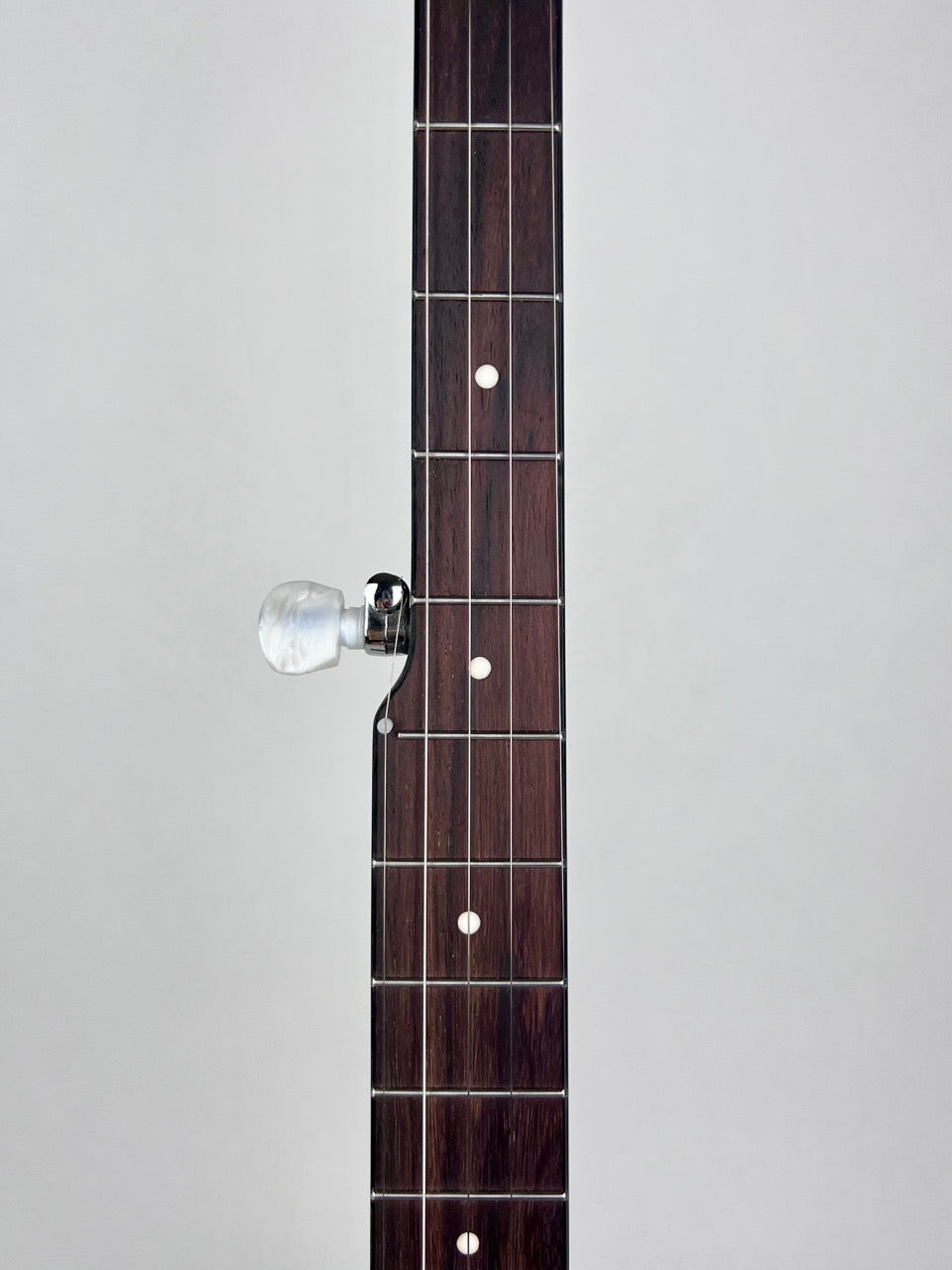 Gold Tone CC-50 Banjo