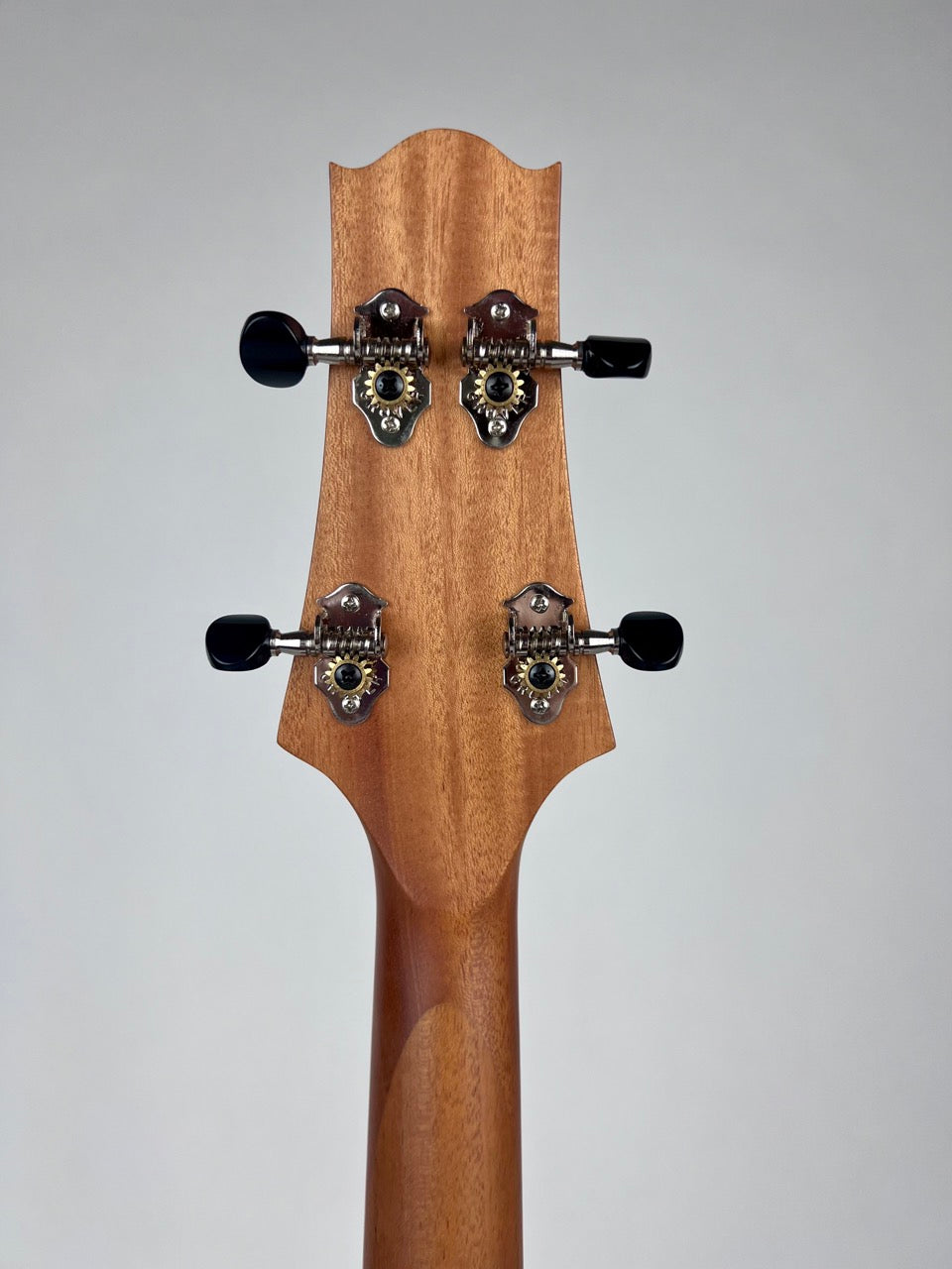 KR Strings Octolindo Artist Series Tenor Guitar