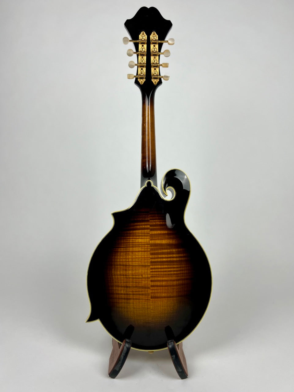 Kentucky KM Dawg Mandolin