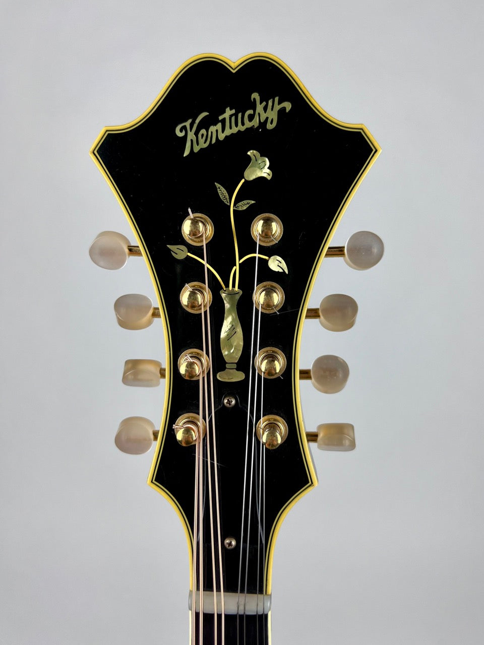 Kentucky KM Dawg Mandolin