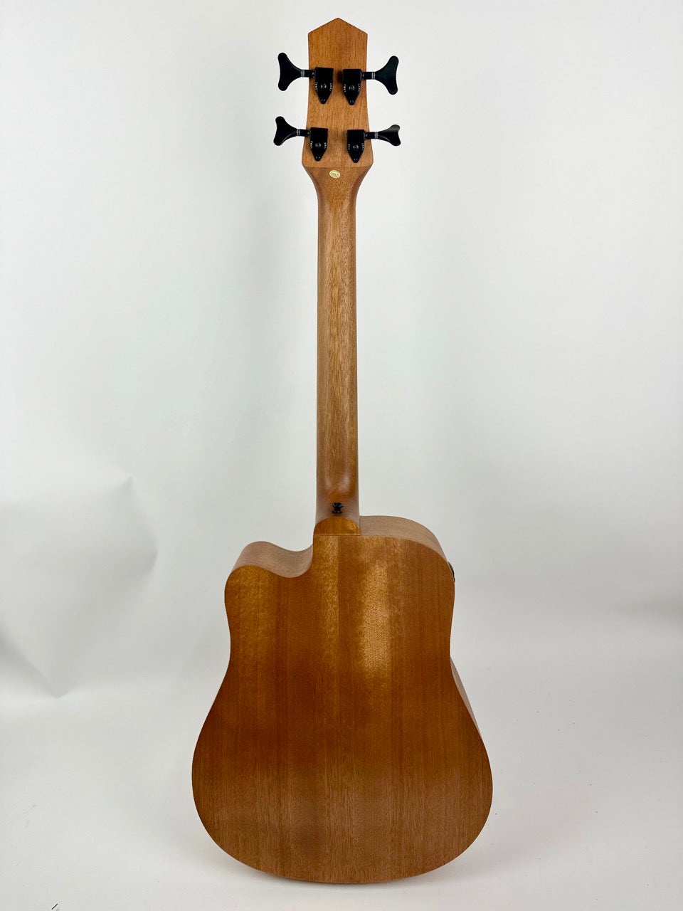 Gold Tone Fretless 25 Micro Bass