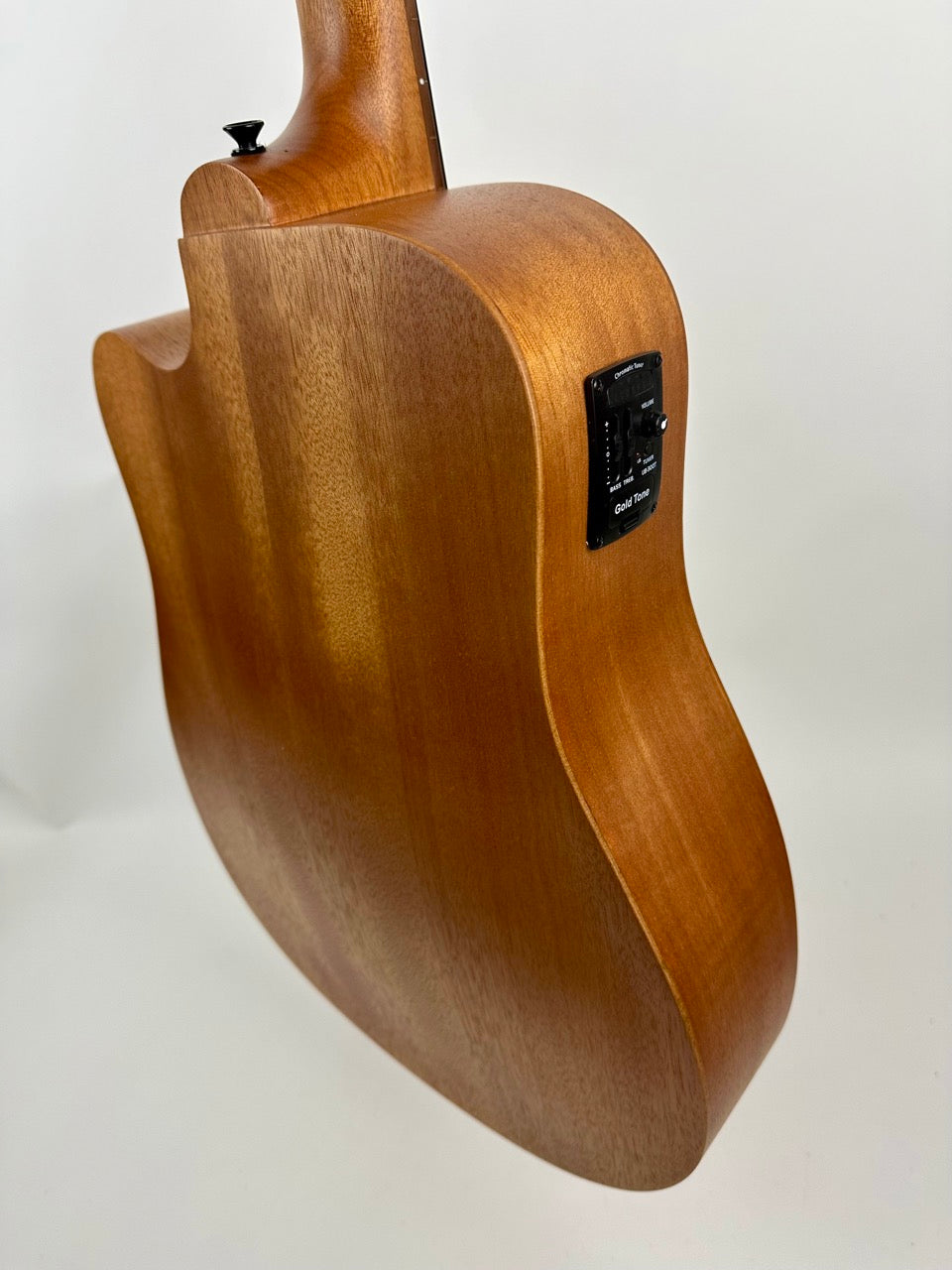 Gold Tone Fretless 25 Micro Bass