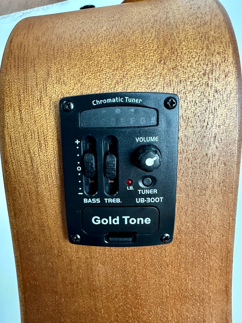 Gold Tone Fretless 25 Micro Bass