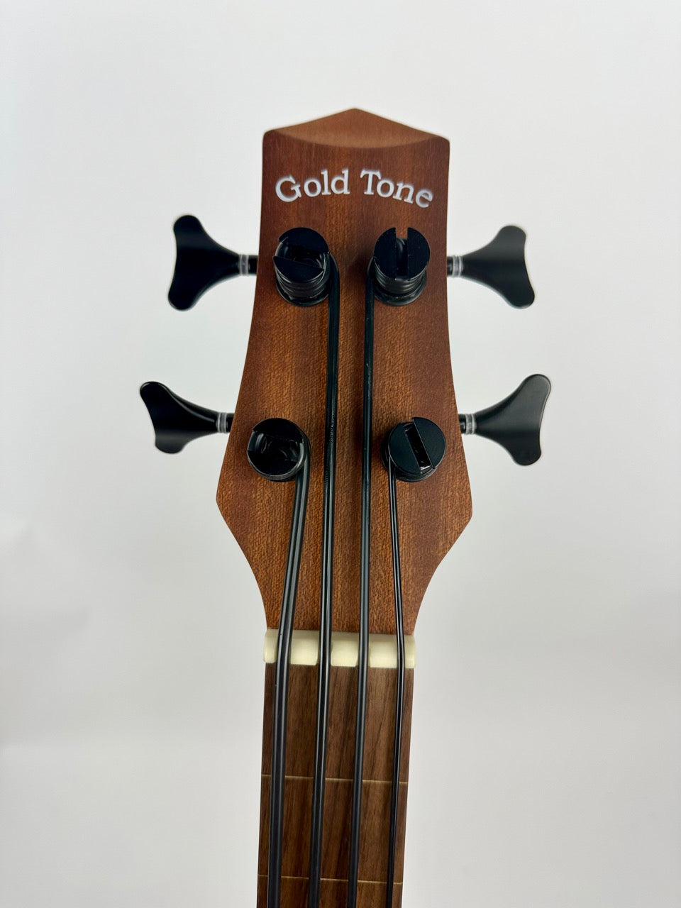 Gold Tone Fretless 25 Micro Bass
